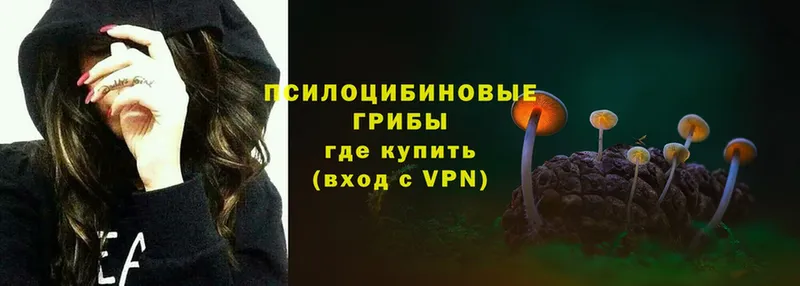 Псилоцибиновые грибы Psilocybe  купить закладку  mega рабочий сайт  Великий Устюг 